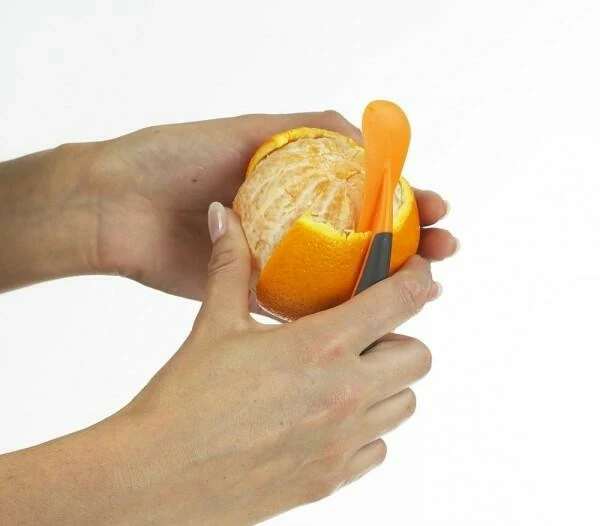 Lurch Orangenschäler – Bild 4