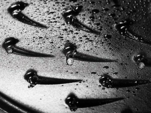 Staub Bräter Mit Chistera Drop-Structure In Dunkelblau 28 Cm / 22,5 Cm / 3,7 L / 8 Cm / 125,5 Cm / 5,8 Kg – Bild 3